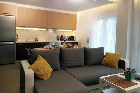 2 Bedroom Luxury Near Acropolis Apartment